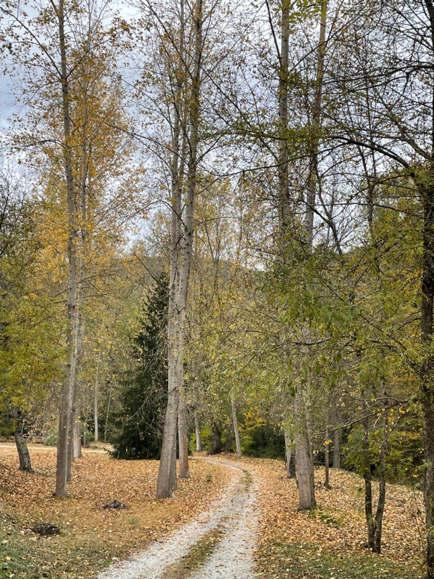 Can Torrotes Ла-Валь-де-Бианья Экстерьер фото